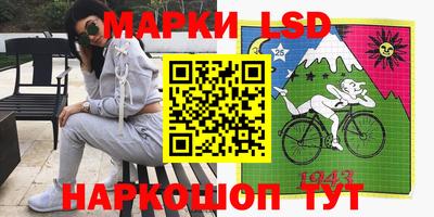 МДПВ Новозыбков