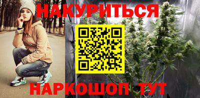 МДПВ Новозыбков