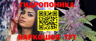 ешки Пенза