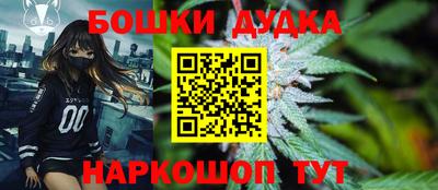 mdpv Новодвинск